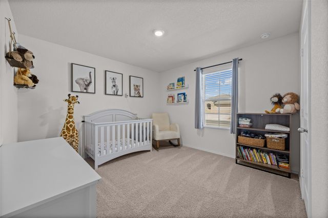 325 Granary DR, Uhland, TX 78640