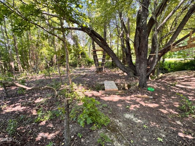 28 Harvey B Duncan Drive, Timberlake, NC 27583