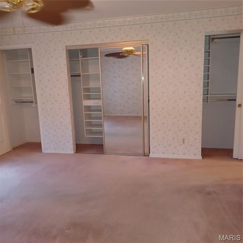 12053 Lake Placid Drive, Unincorporated, MO 63146