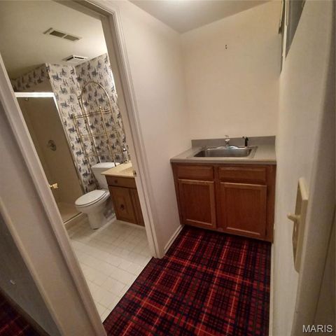 12053 Lake Placid Drive, Unincorporated, MO 63146