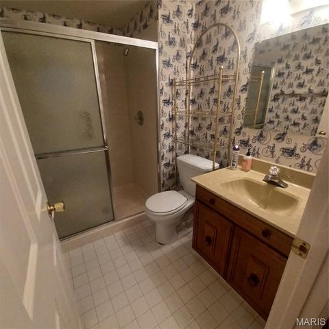 12053 Lake Placid Drive, Unincorporated, MO 63146