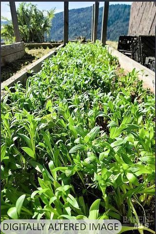 2233 Baywood Way, Willits, CA 95490