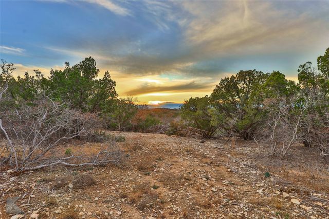 35 Acres County Road 322, Tuscola, TX 79562