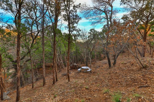 35 Acres County Road 322, Tuscola, TX 79562