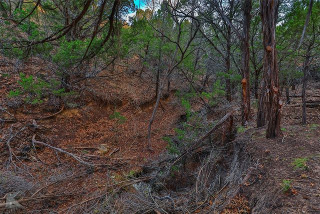 35 Acres County Road 322, Tuscola, TX 79562