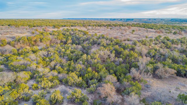 35 Acres County Road 322, Tuscola, TX 79562
