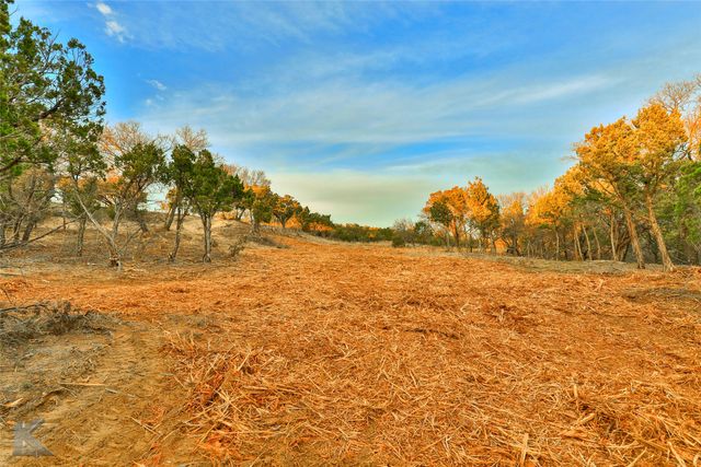 35 Acres County Road 322, Tuscola, TX 79562