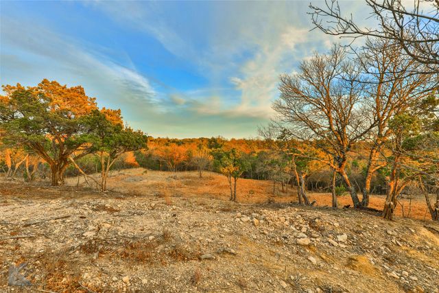35 Acres County Road 322, Tuscola, TX 79562