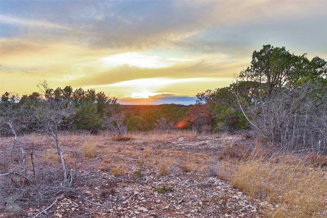 35 Acres County Road 322, Tuscola, TX 79562