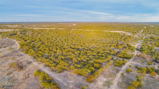 35 Acres County Road 322, Tuscola, TX 79562