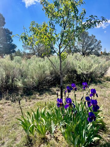 2107 Calle Tecolote, Santa Fe, NM 87505