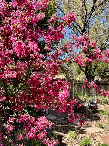 2107 Calle Tecolote, Santa Fe, NM 87505