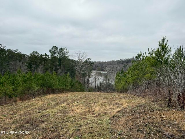 Lot 77 Saddleback Drive, Vonore, TN 37885