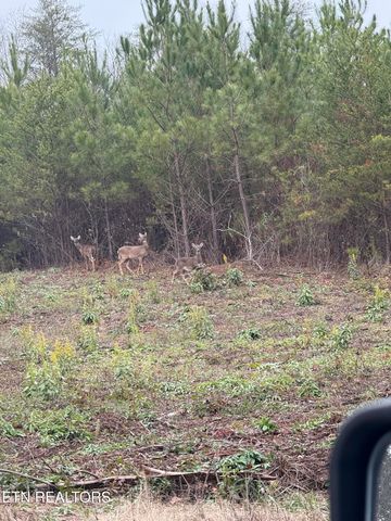 Lot 77 Saddleback Drive, Vonore, TN 37885