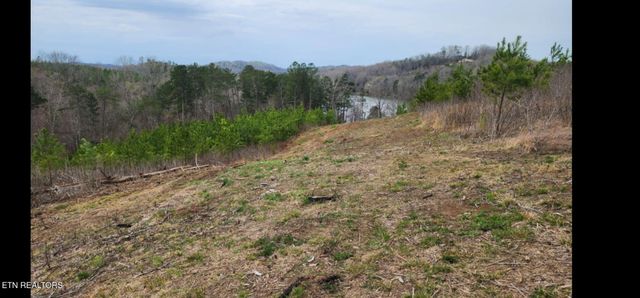 Lot 77 Saddleback Drive, Vonore, TN 37885