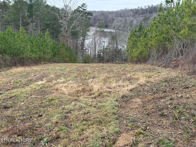 Lot 77 Saddleback Drive, Vonore, TN 37885