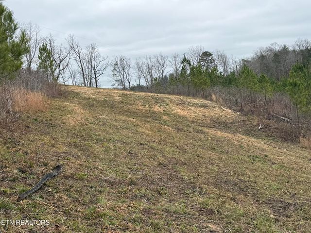 Lot 77 Saddleback Drive, Vonore, TN 37885