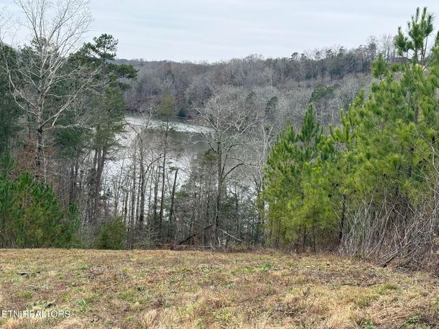 Lot 77 Saddleback Drive, Vonore, TN 37885
