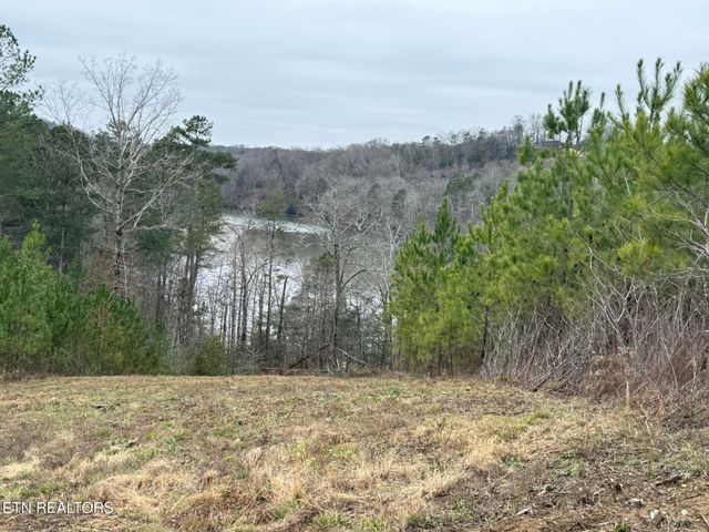 Lot 77 Saddleback Drive, Vonore, TN 37885