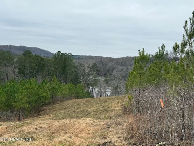 Lot 77 Saddleback Drive, Vonore, TN 37885