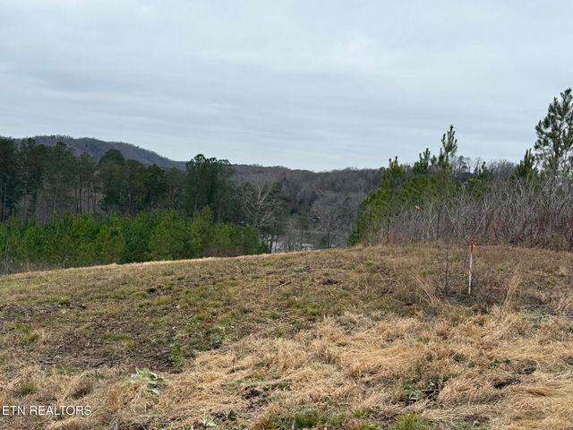 Lot 77 Saddleback Drive, Vonore, TN 37885