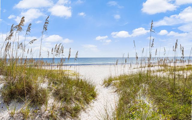 228 Walton Magnolia Lane UNIT 4, Inlet Beach, FL 32461