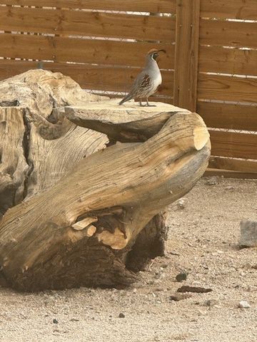 74707 Sunset, 29 Palms, CA 92277