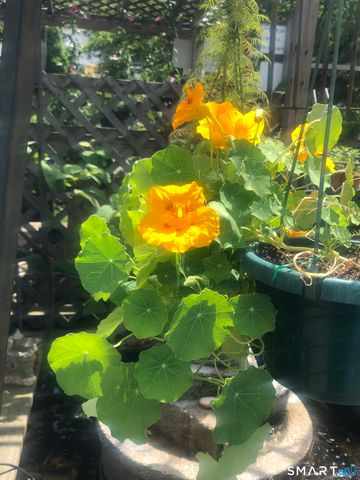 671 Rubber Avenue, Naugatuck, CT 06770