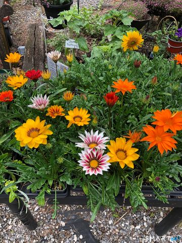 671 Rubber Avenue, Naugatuck, CT 06770