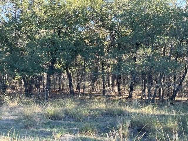 XXX Creek Meadow Court, Lipan, TX 76462
