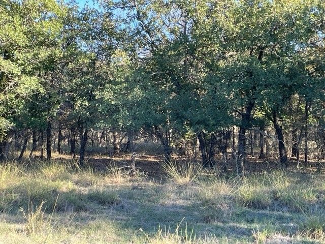 XXX Creek Meadow Court, Lipan, TX 76462