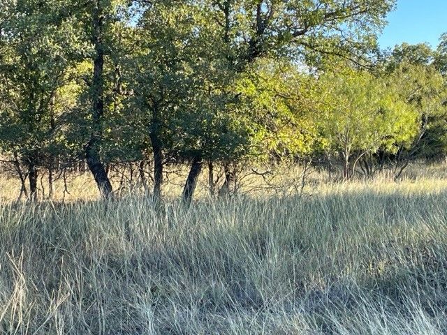 XXX Creek Meadow Court, Lipan, TX 76462