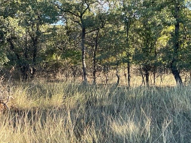 XXX Creek Meadow Court, Lipan, TX 76462