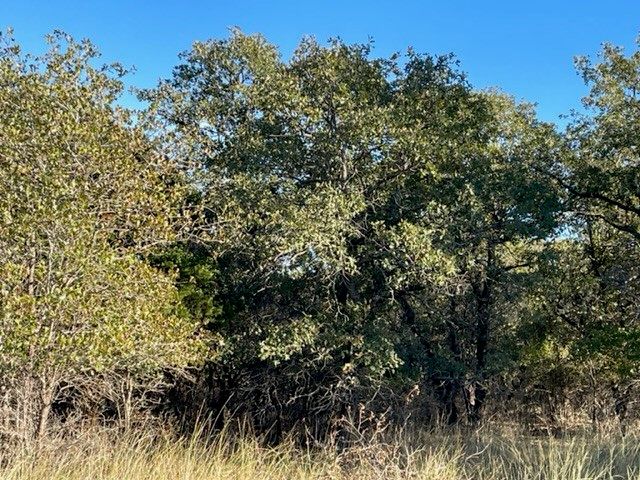 XXX Creek Meadow Court, Lipan, TX 76462