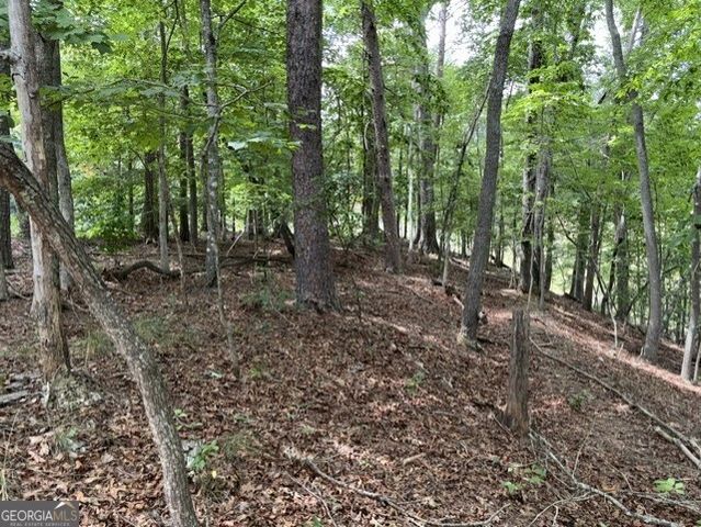 LOT 16 CALHOUN Road, Dahlonega, GA 30533
