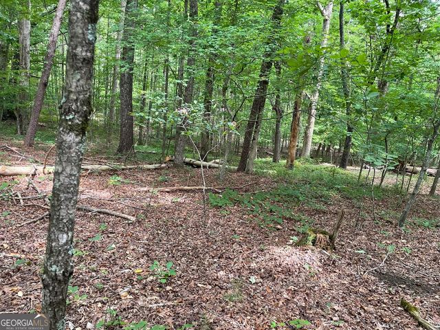 LOT 16 CALHOUN Road, Dahlonega, GA 30533