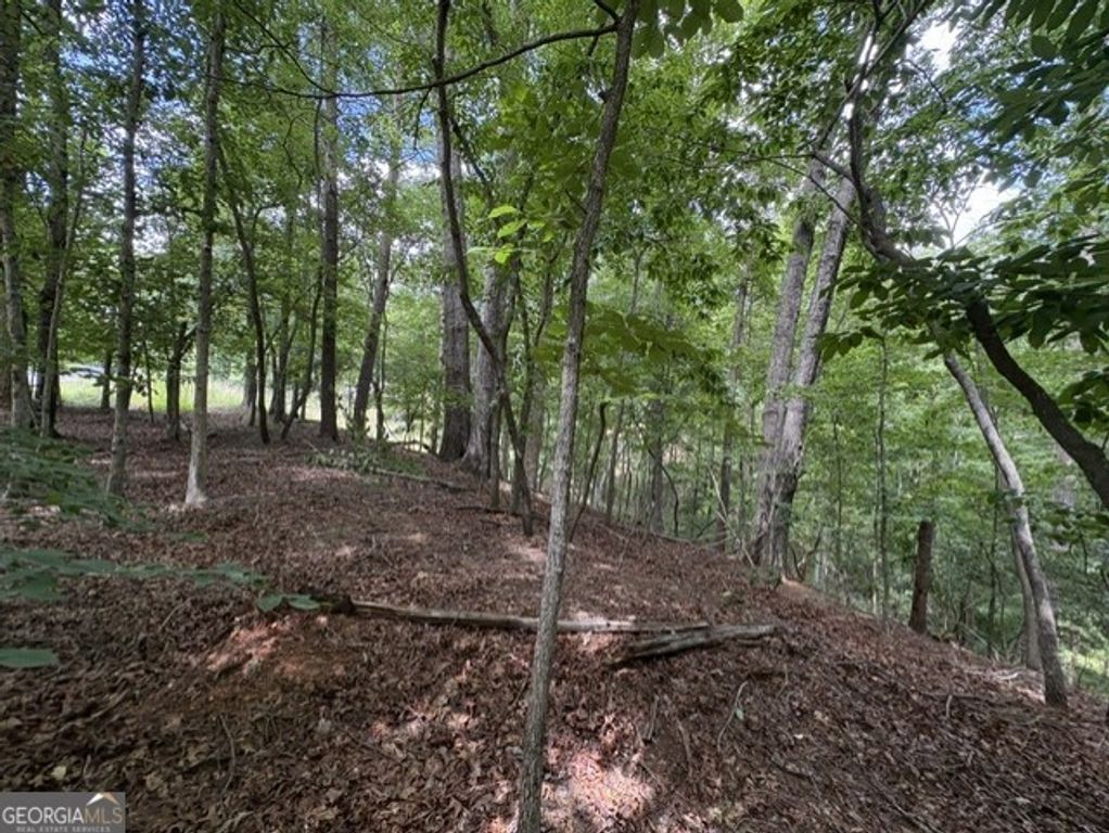LOT 16 CALHOUN Road, Dahlonega, GA 30533