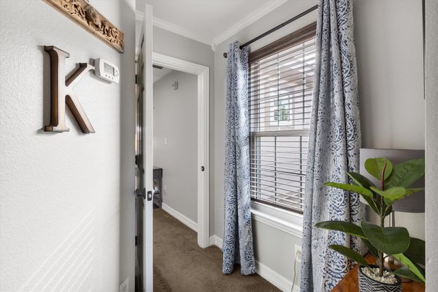 7124 Wolfemont Lane, Plano, TX 75025