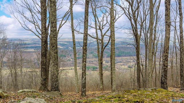 16689 County Road 89, Mentone, AL 35984