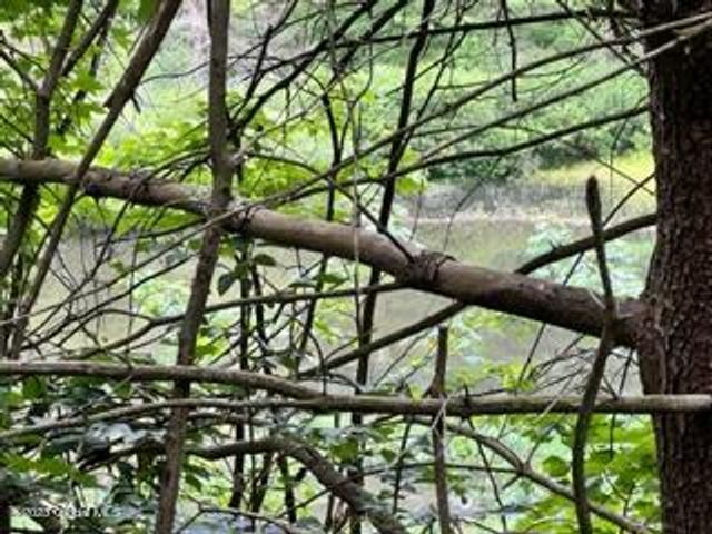 Lot 4 McGregor Road, Johnstown, NY 12078