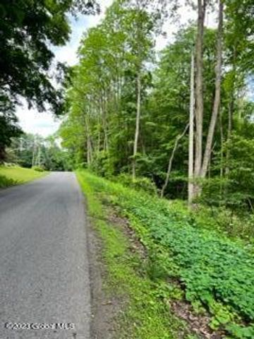 Lot 4 McGregor Road, Johnstown, NY 12078