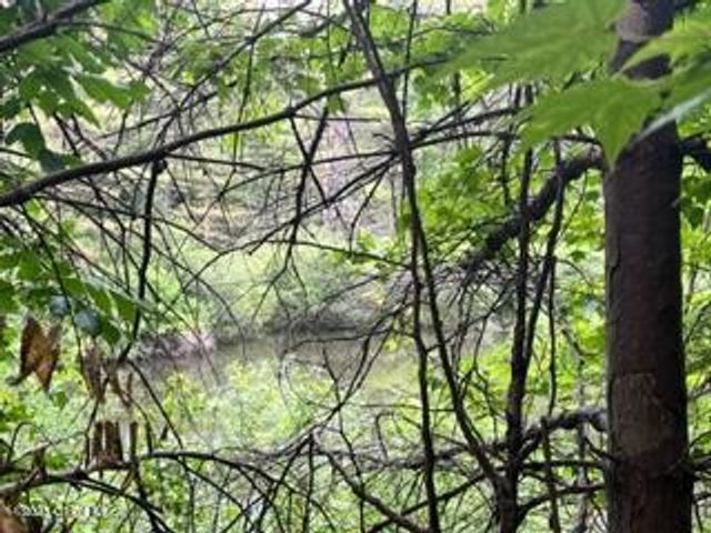 Lot 4 McGregor Road, Johnstown, NY 12078