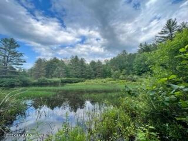 Lot 4 McGregor Road, Johnstown, NY 12078
