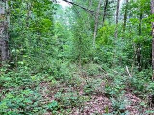 Lot 4 McGregor Road, Johnstown, NY 12078