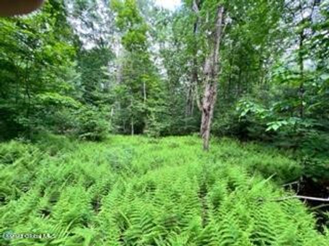 Lot 4 McGregor Road, Johnstown, NY 12078