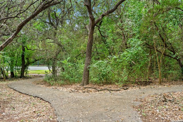 17314 FOUNTAIN BLUFF DR, San Antonio, TX 78248
