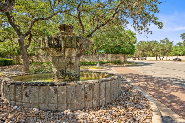 17314 FOUNTAIN BLUFF DR, San Antonio, TX 78248