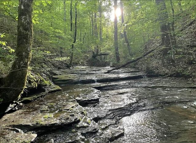 1013 Valencia Ct, Ashland City, TN 37015