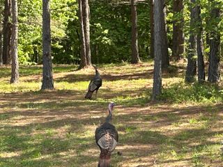 290 Bear Trace Drive Rb-201, Jasper, TN 37347