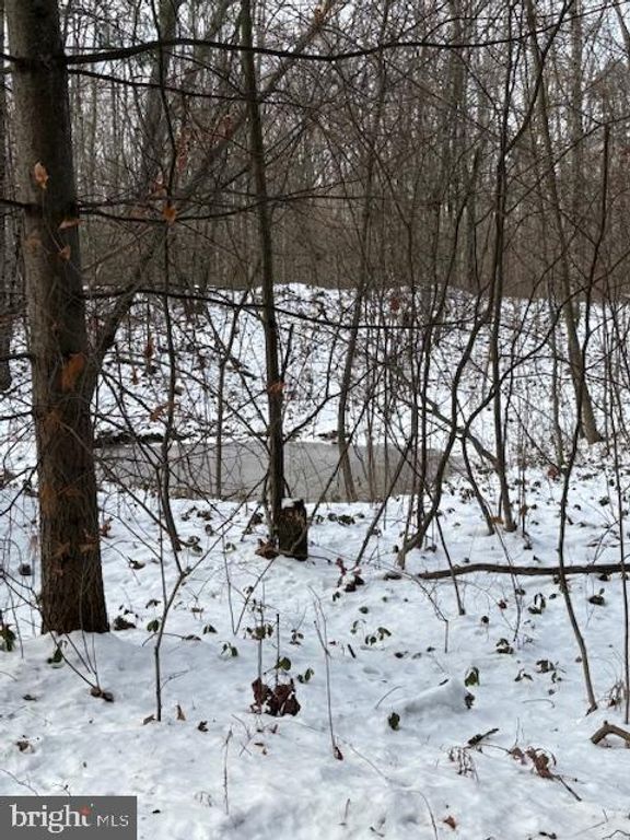 Image 1 of property listing at 0 LITTLE WOLF RD, Clarence, PA 16829